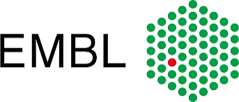 EMBL ARISE2 Postdoctoral Fellowship Programme 2026 | 17 Fellowships for STEM Researchers